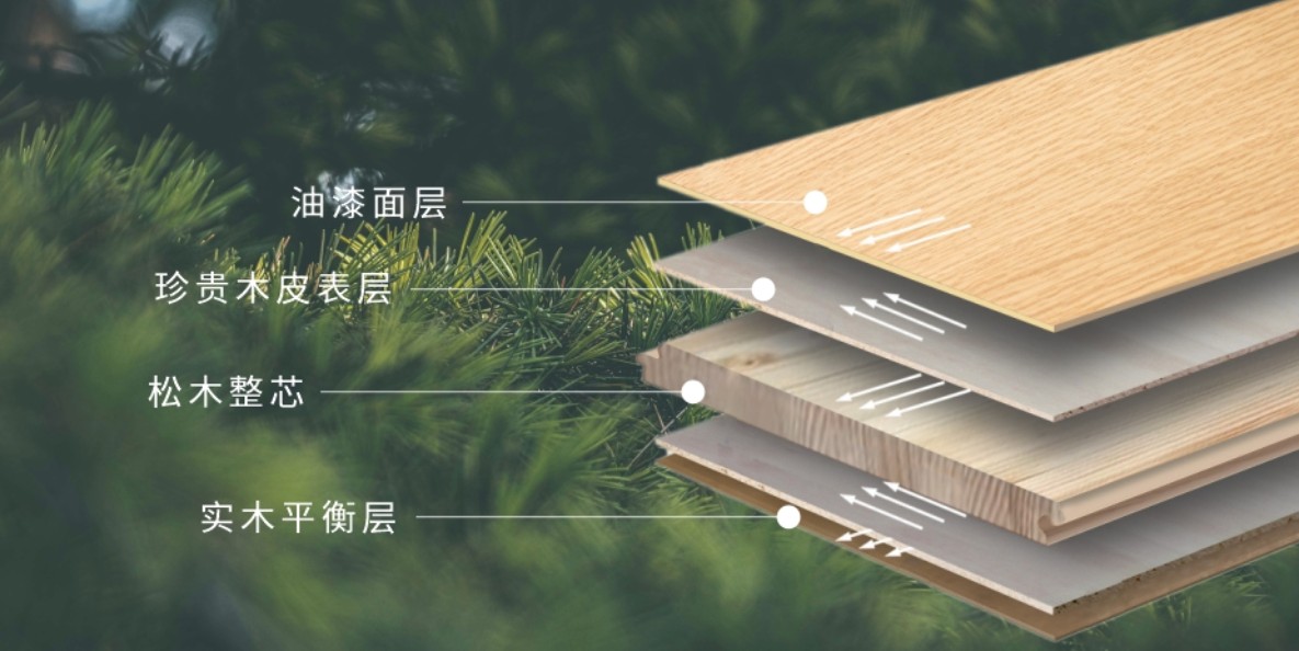 2024三杉新品推荐 | 新三层实木复合地板天然木皮系列